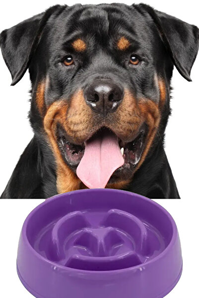 MOBEE Evcil Hayvan Yavaş Mama Yeme Kabı Yavaş Besleyici Kedi Köpek Mama Kabı ...