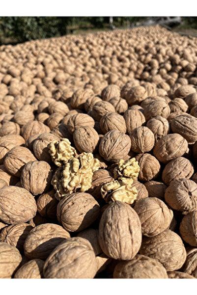 CEVİZ DEPOSU EDİRNE KARAAĞAÇ 5 kg chandler kabuklu ceviz