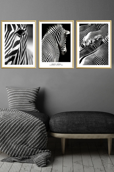 Linacci Üçlü Ince Metal Alüminyum Çerçeveli Cam Siyah Beyaz Cam Zebra Poster Tablo Set