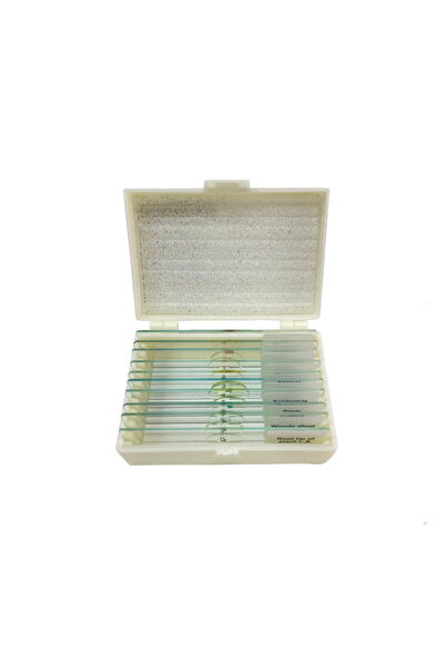 Zürih Ticaret Mikroskop Slayt Seti - Plastik Kutulu - 10 Slayt