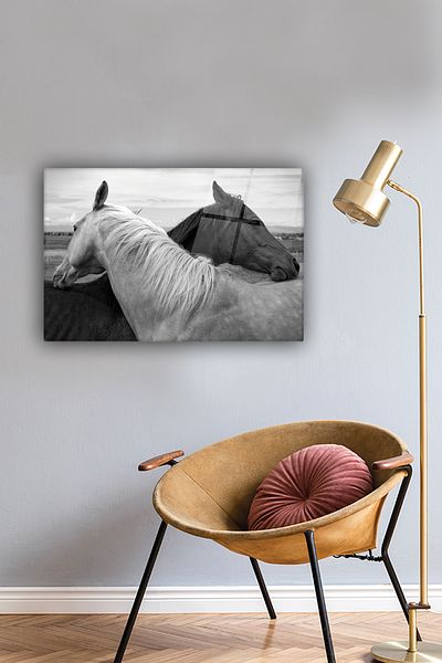 Decorita Masa din sticla |   Căii alb-negru |