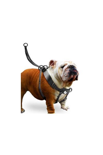 Karlie 555-503553 Easy Walker Chest Collar 52-84 Cm Xlarge