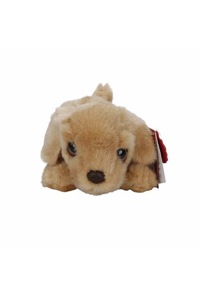 Sunman 25 Cm Labrador Plush Dog