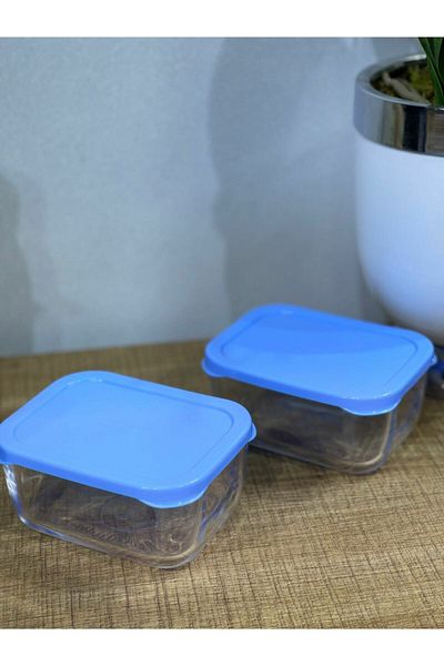 GÜVENPLAST Paş53733 Snowbox 2-Piece Storage Container Blue