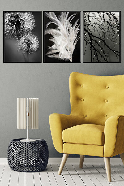 Linacci 3lü Siyah Alüminyum Çerçeve Işıltı Karahindiba Camlı Poster Tablo Seti