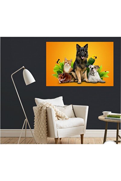 HDART Veteriner Petshop İçin Kedi Köpek Papağan Duvar Kanvas Tablo Tablosu ta...