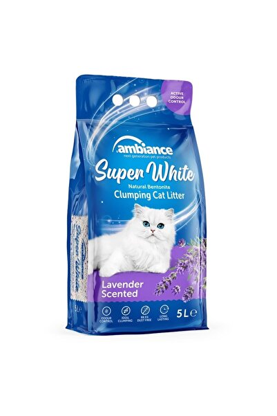 Ambiance Kedi Kumu Lavanta 5 Lt