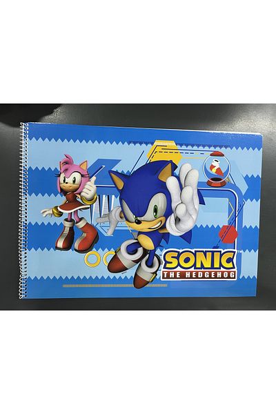 TMN Sonic picture book licensed