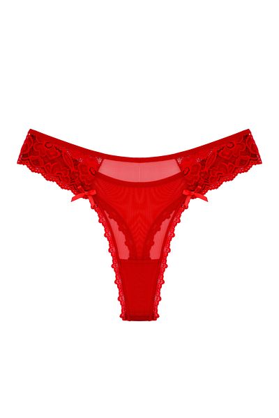 Zena 3-Piece Thong Women's Panties with Tulle and Lace Detail on the Front and Back