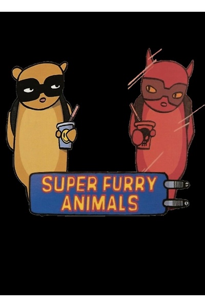 Universal Πίνακας - Πολύχρωμο