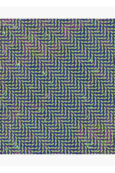 Universal Animal Collective - Merriweather Post Pavilion (Copertă 155Mp) Post...