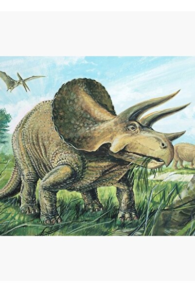 Universal Tablou Triceratops Poster din lemn decorativ