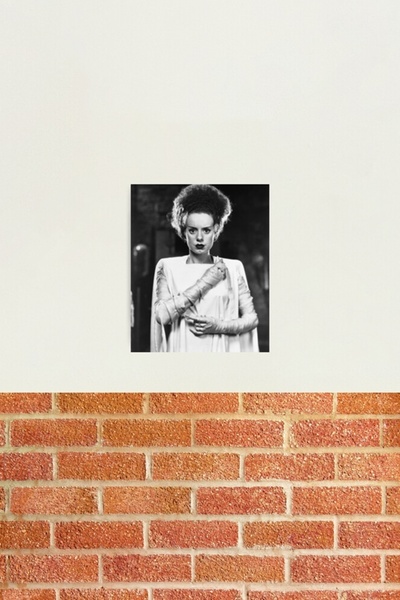 Universal Poster decorativ din lemn cu pictură clasică a miresei lui Frankens...