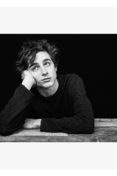 Universal Poster decorativ din lemn cu Timothee Chalamet