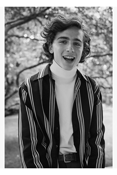 Universal Poster decorativ din lemn Timothée Chalamet