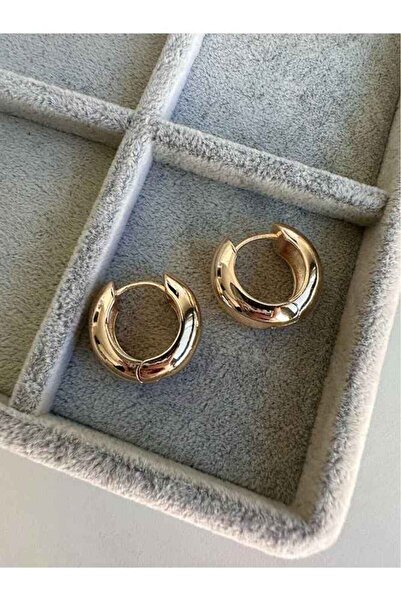 ANOR ACCESSORIES Yeni Sezon Dolgulu Tasarım Halka Formlu Silver Küpe