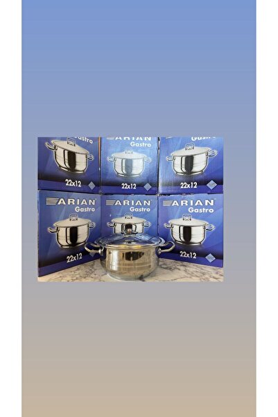 Arian وعاء ستيل جاسترو