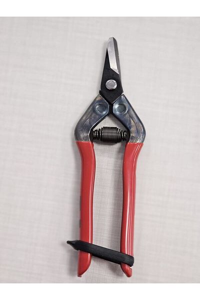 UĞURBATIN HASAT SCISSORS SHORT CURLY