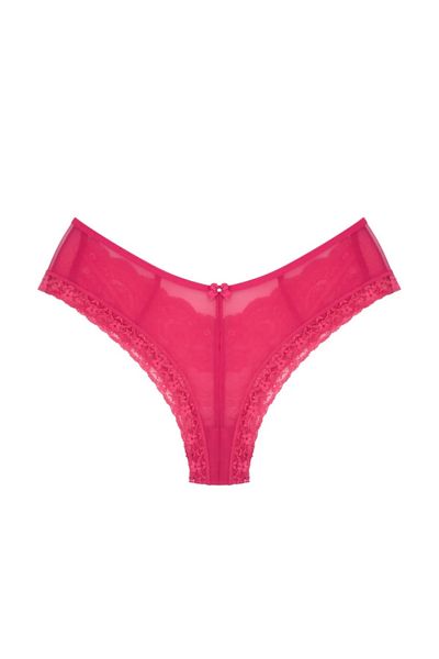 NARIYA Women's Panties Tulle Detailed Lace Fancy Brazilian Women's Slip Panties Comfortable Briefs Underwear