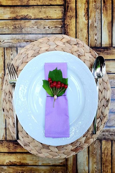 Emtory Home 6 Pieces Lilac Cotton Fabric Serving Napkin