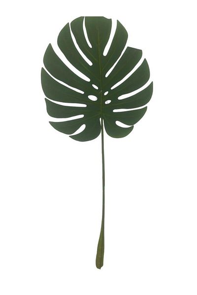 T.Concept Φύλλο Φοίνικα 82 cm Πράσινο A10269-08