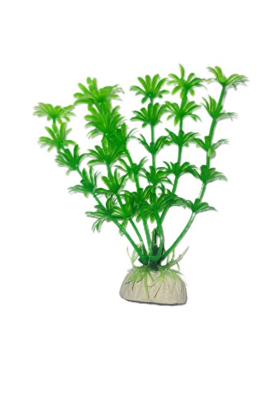 La bella bazar Akvaryum Yapay Bitki Süs Fanus Dekorasyon Yapay Çiçek 10 Cm 10...