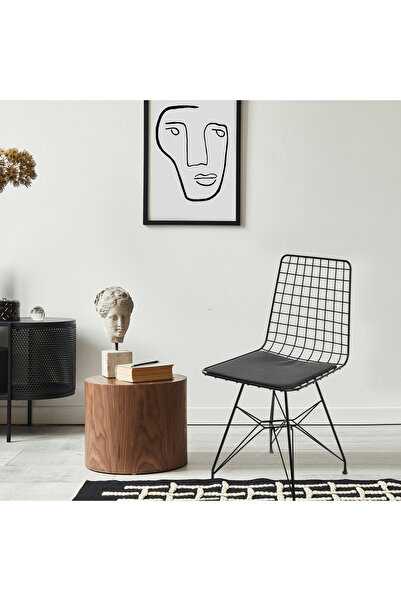 Akın Lux Akın Lüx Tel Sandalye - Siyah