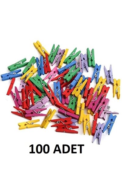 HİDZ Mini Mandal Seti 25/50/75/100 Adet