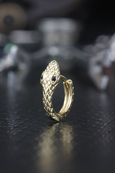 depozoom Zamak Kıkırdak Orbital Rook Yılan Küpe