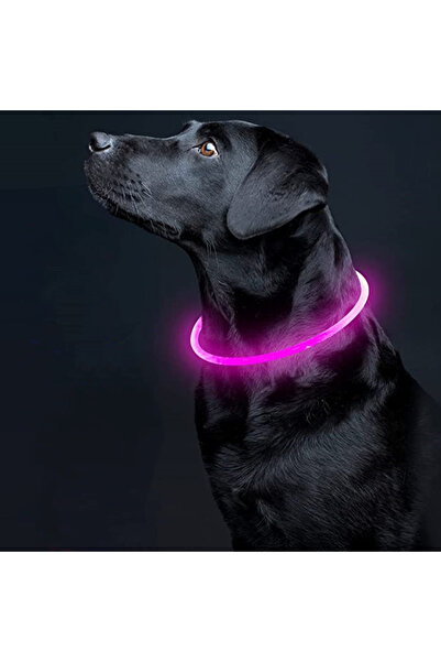 LUPPER LED Işıklı Köpek Tasması, USB Şarj Edilebilir, Gece Güvenliği için Par...