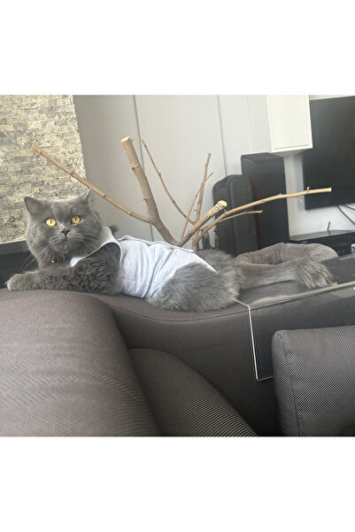 petcase Ameliyat Sonrası Kedi Kıyafeti / Kedi Tulumu / Kedi Korsesi