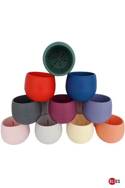 Bliss 10'lu Elvan Kaktüs Saksı No 0,13 Lt