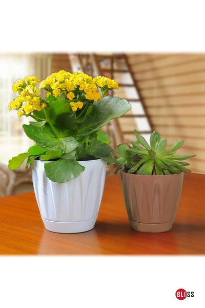 Bliss Papatya Saksı 3 lt Parlak Plastik Kendinden Tabaklı Drenajlı Çiçek Saksısı