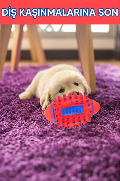 MUJGAN Kedi Köpek Dikenli Isırma Topu