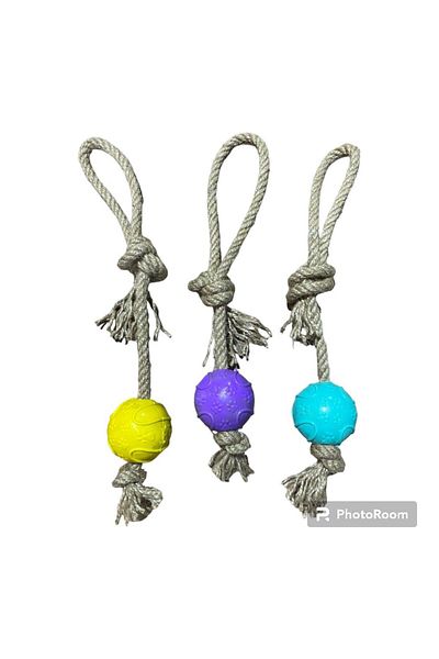 Glipet Hard Plastic Jut Rope Ball Dog Toy