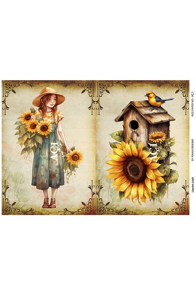 LİNEART Brass Decopage LineArt Paper - LA-AÇ1
