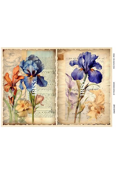 LİNEART LineArt Brass Decopage Paper LA-IRIS5