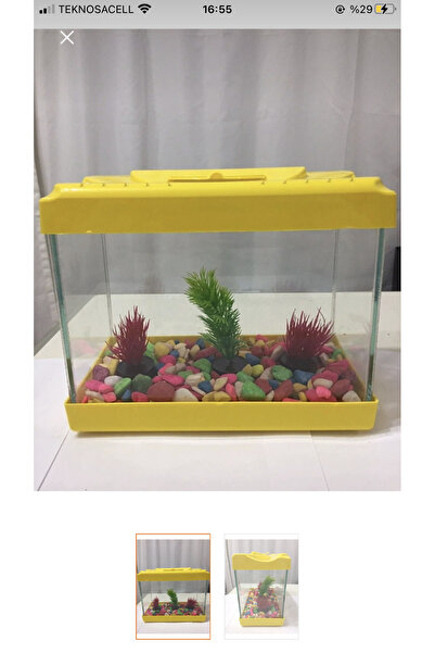 ARSPOLO 20cm 4 litre akvaryum balık alanı