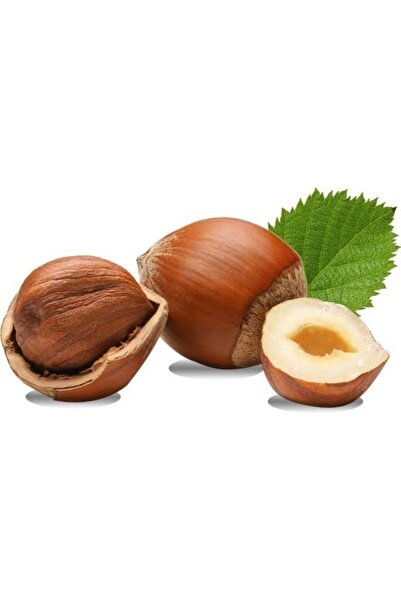 KAHYA EFENDİ DOĞAL KABUKLU KARADENİZ FINDIĞI 500 gr