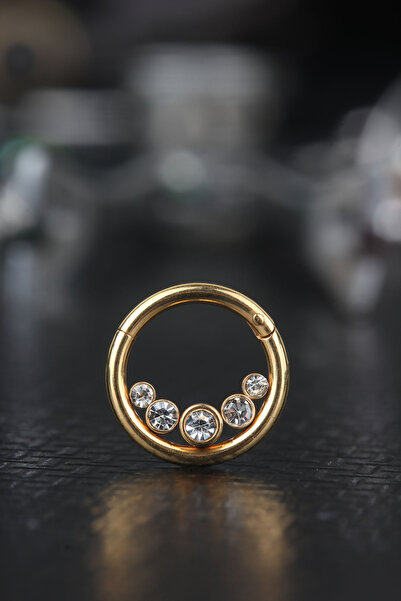 depozoom 316l Cerrahi Çelik Kıkırdak Rook Orbital Helix Septum Piercing Gold