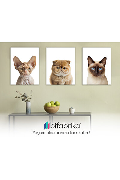 Kedi Kanvas Tablo, 3'lü set Dijital Baskı Kanvas Tablo,Duvar Dekorasyonu,Ofis Canvas Tablo
