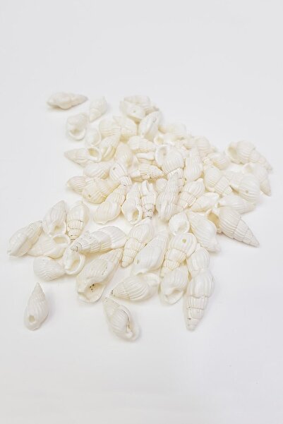 Hobigram Sortiment de mărgele cu model de stridii albe, mărgele de câine de t...