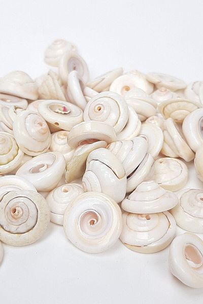 Hobigram Beads Assortment Cream Curved Seashell – Beads, Stylish Design, Women's Accessory – Beads – Beads