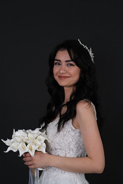 Hobigram Accesoriu de mireasă cu cataramă laterală cu perle și pietre pentru cele mai frumoase mirese – coroană, piatră de cristal, model elegant – T