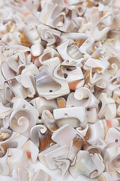 Hobigram Χάντρες Ποικιλία Coffee Hollow Seashell – Χάντρες, Κομψό Σχέδιο, Γυναικείο Αξεσουάρ – Χάντρες – Μπον