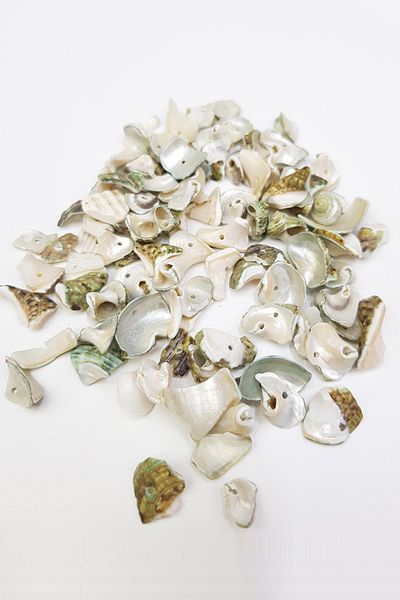 Hobigram Beads Assortment Mixed Pattern Oyster Seashell – Beads, Stylish Design, Women's Accessory – Bonc