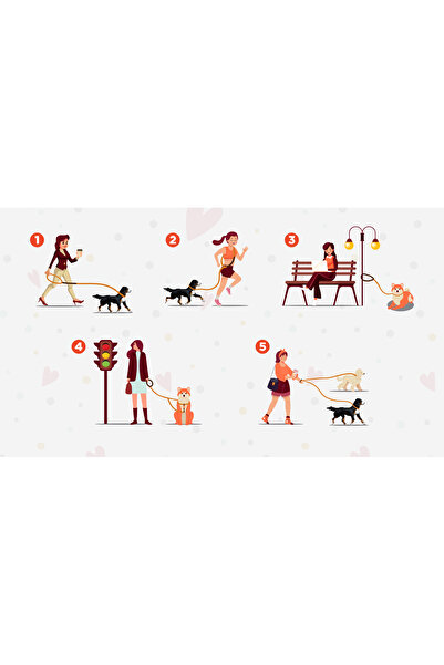 GoPawGo Charmlı Sirius Plus Dönüştürülebilir Kayış