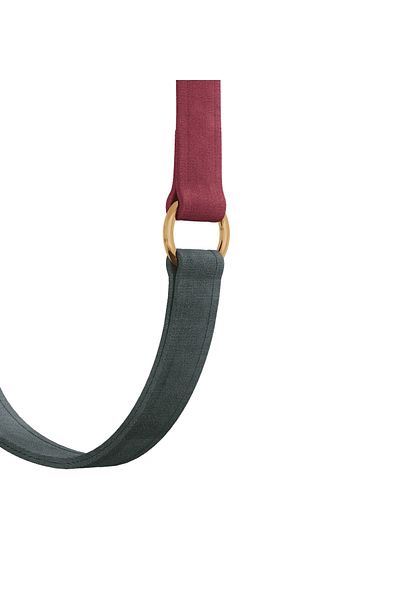 GoPawGo Charmed Supreme Plus Convertible Strap