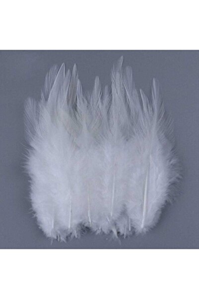 Hobigram El İşi Ürünleri 100lü Beyaz Kuş Tüyü 1 5x2 Süslemelik Beyaz Kuş Tüyleri