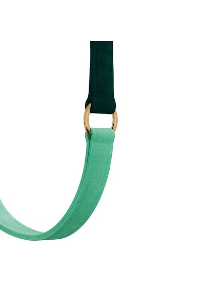 GoPawGo Charmed Shelby Plus Convertible Strap